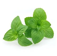 Nictel E-Liquid 18mg | £1 - Image 27